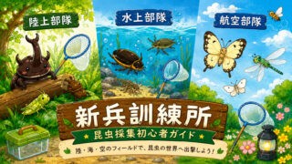 陸上部隊・水上部隊・航空部隊の3つのフィールドを紹介する新兵訓練所のアイキャッチイラスト。昆虫採集初心者向けガイドページ。