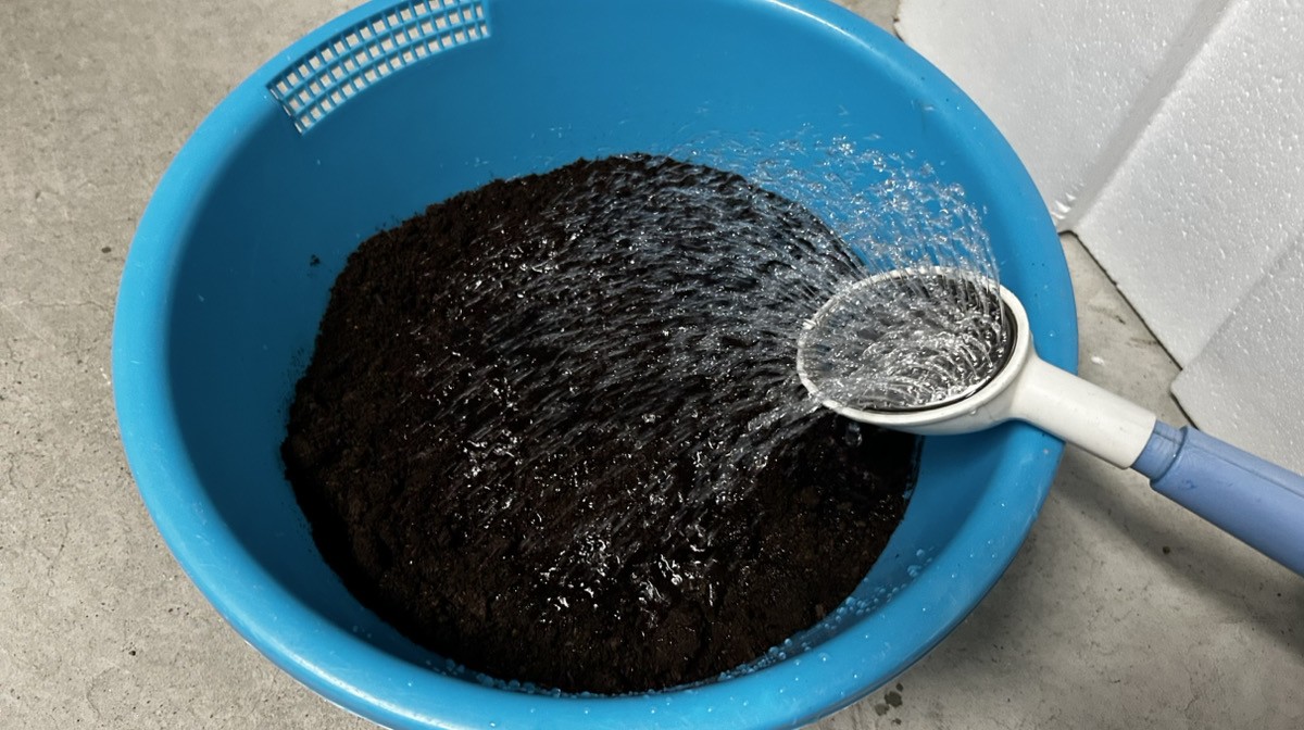 ヘラクレス・リッキーの産卵セット用マットに水を加えて水分量を調整する様子